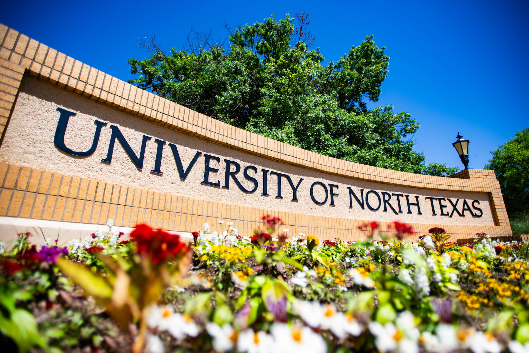UNT Campus Sign