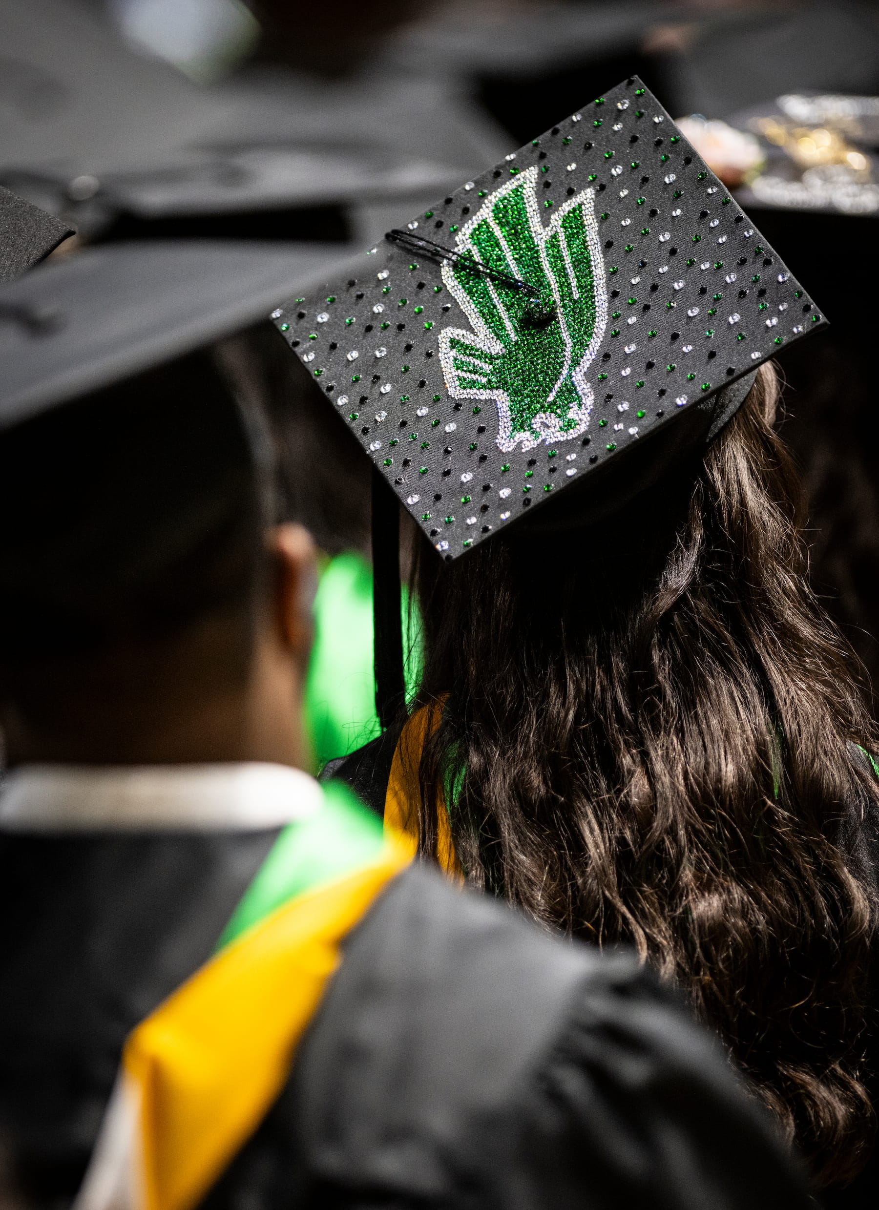 Person with an eagle on their graduation cap sitting at commencement